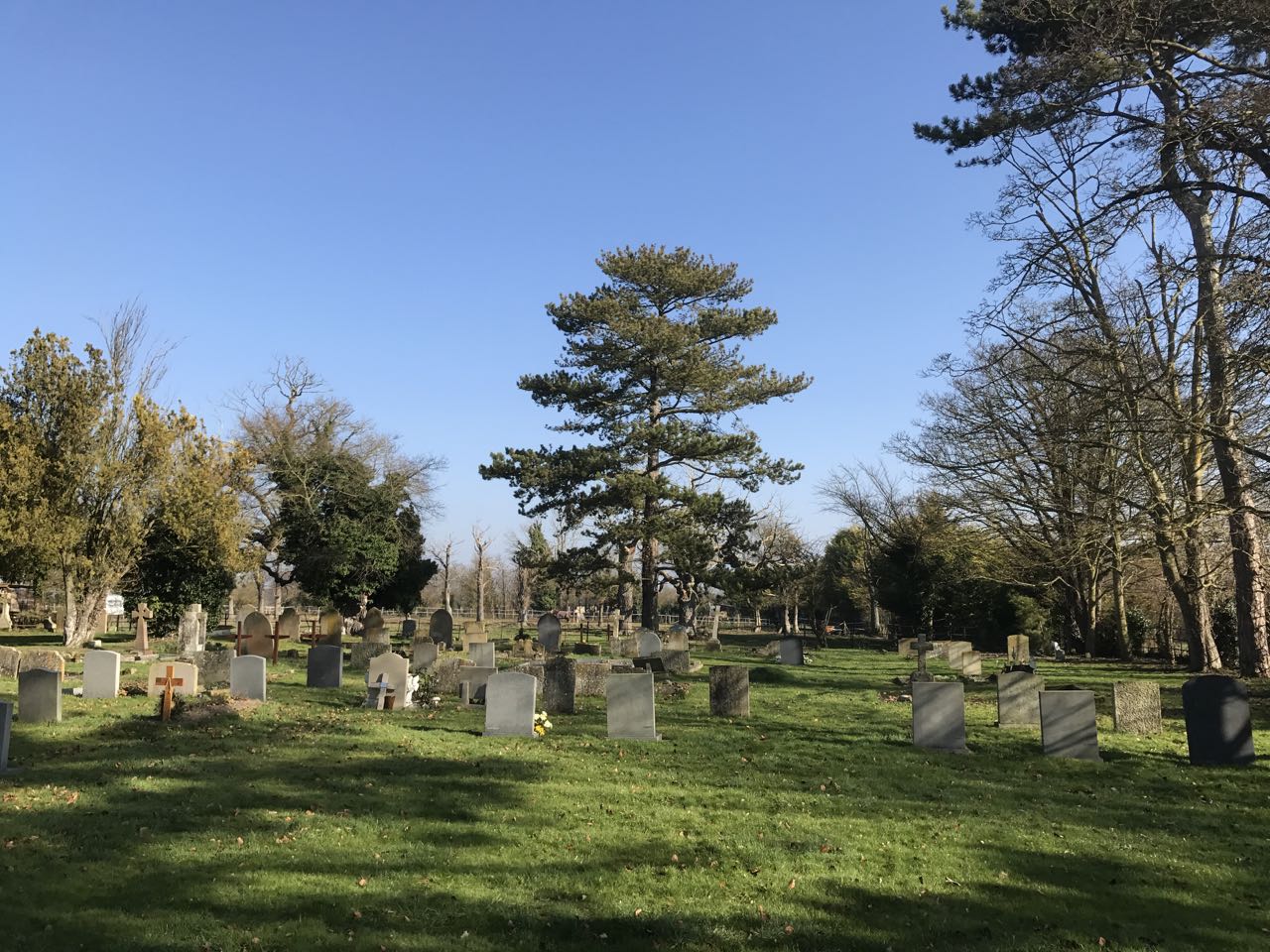 Whaddon Churchyard Feb 2017 137