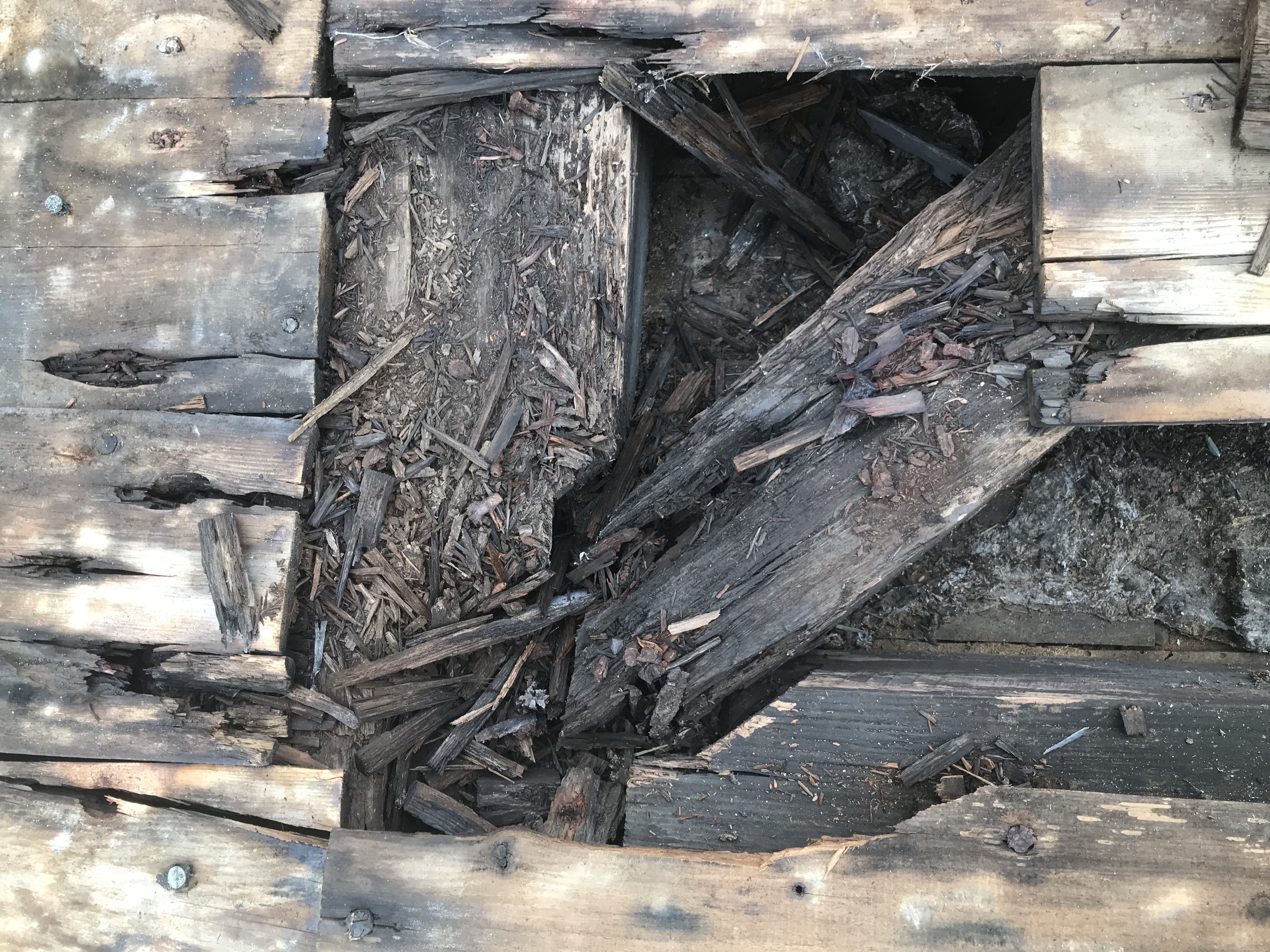 Defective timbers Nave Roof