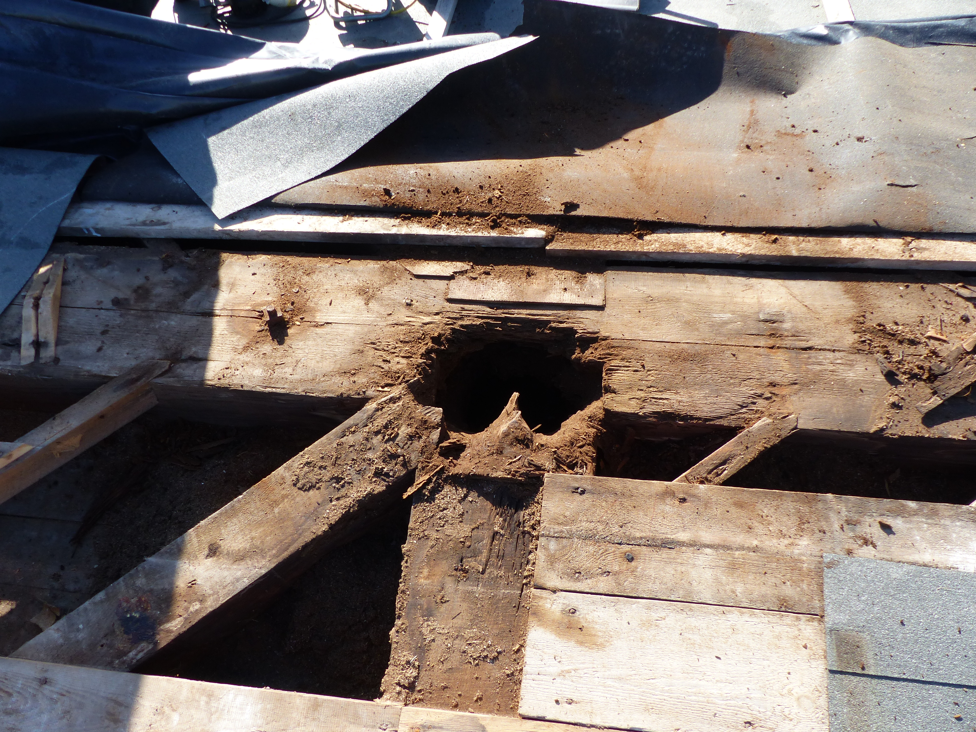 Excavated hole  on nave roof Structure Line E looking south